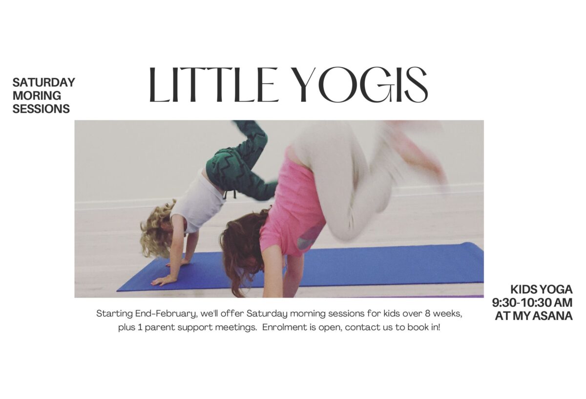 Little-Yogis-NL-Banner